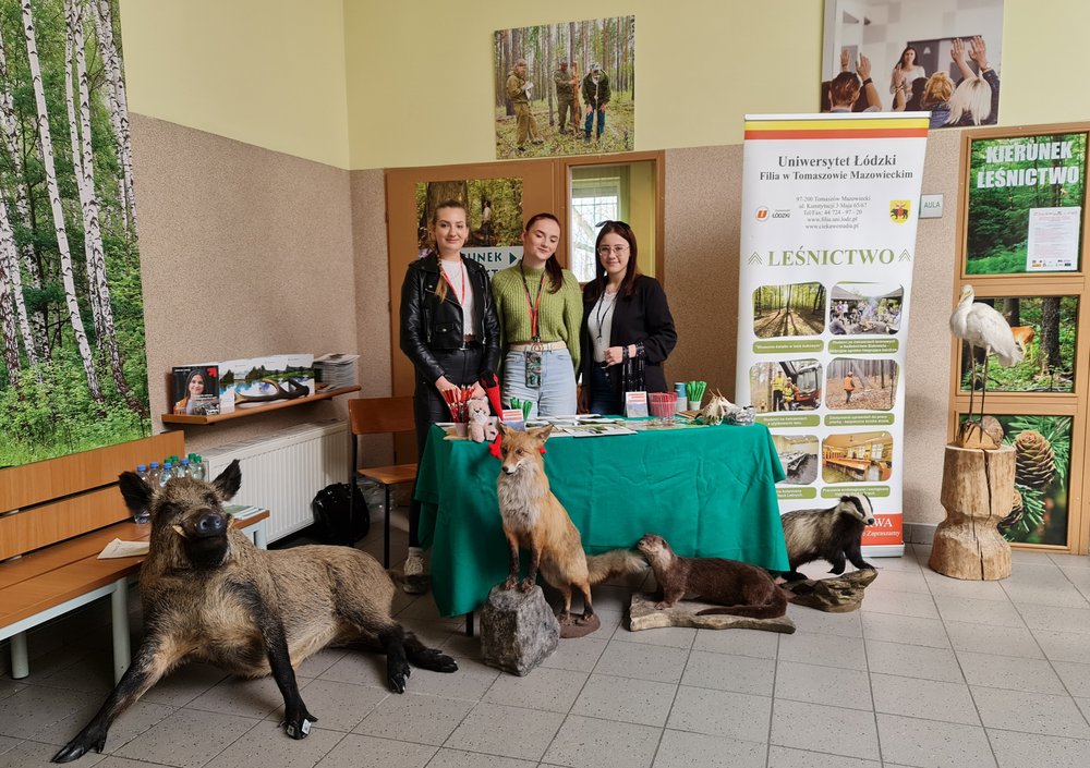 Patio Filii UŁ w TM