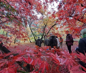 ćwiczenia terenowe zdjęcie pokazujące klory jesieni 